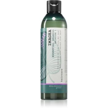 Elgon Green Imagea Essential Shampoo šampon 250 ml