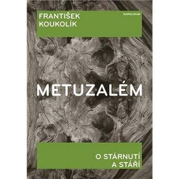 Metuzalém (9788024624716)