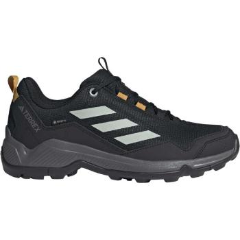 adidas TERREX EASTRAIL GTX Pánská treková obuv, černá, velikost 44 2/3