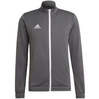 adidas ENTRADA 22 TRACK JACKET Pánská fotbalová mikina, šedá, velikost