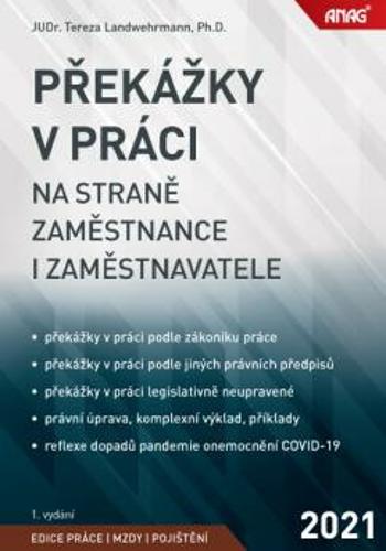 Překážky v práci na straně zaměstnance i zaměstnavatele - Tereza Landwehrmann