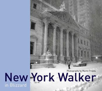 New York Walker - Martin Froyda