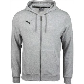 Puma TEAMGOAL 23 CASUALS HOODIE Pánská tréninková mikina, šedá, velikost