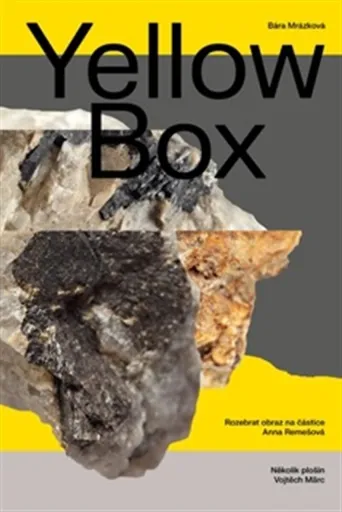 Yellow Box - Bára Mrázková