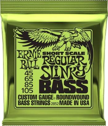 Ernie Ball 2852