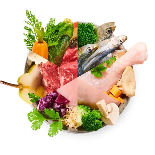 BiBi FOOD 14 denní mix - vařené psí jídlo, gramáž: 900 g