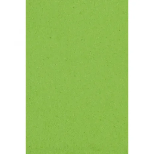 Amscan Ubrus zelený 137 x 274 cm