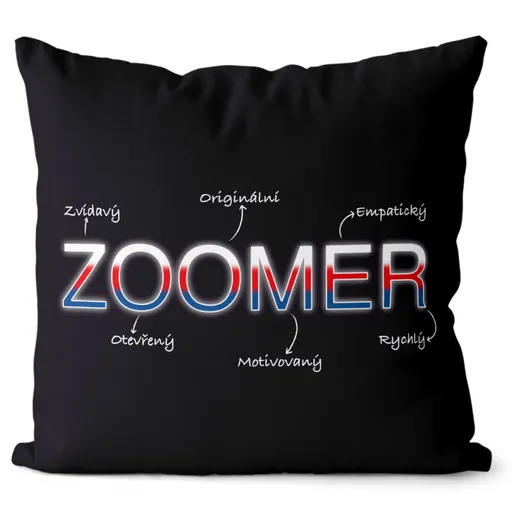 Polštář Zoomer – vlastnosti (Velikost: 40 x 40 cm)