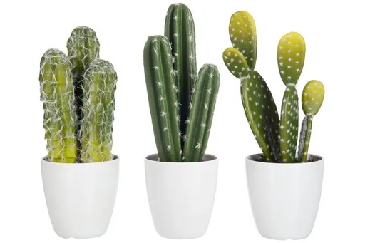 Sada 3 kaktusů v květináčích - Ø 11*26cm J-Line by Jolipa