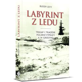 Labyrint z ledu (978-80-7260-459-3)