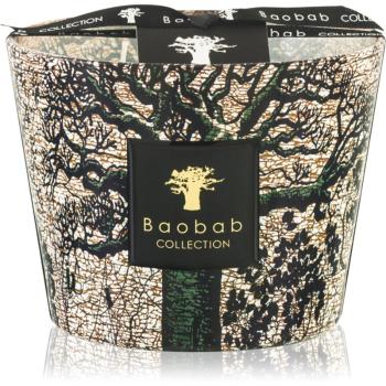 Baobab Collection Sacred Trees Kani vonná svíčka 10 cm