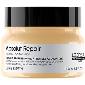 L'ORÉAL PROFESSIONNEL Serie Expert New Absolut Repair Mask 250 ml (3474636971039)