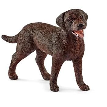 Schleich Zvířátko - fena retrievera 13834 (4055744012556)