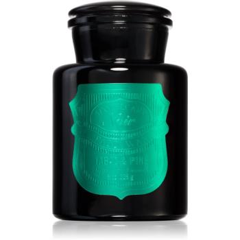 Paddywax Apothecary Noir Tabac & Pine vonná svíčka 226 g