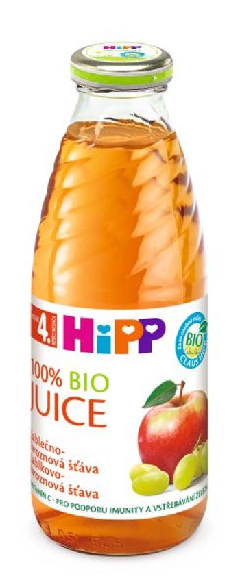 Hipp ŠŤÁVA jablečno-hroznová 500 ml