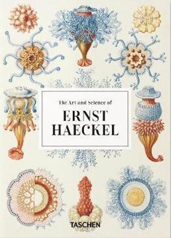 The Art and Science of Ernst Haeckel - 40th Anniversary Edition - Rainer Willmann, Julia Voss