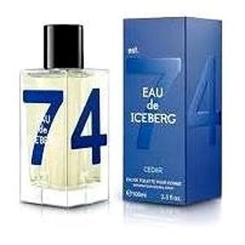 Iceberg Eau de Iceberg Cedar EdT 100 ml M (1690020)