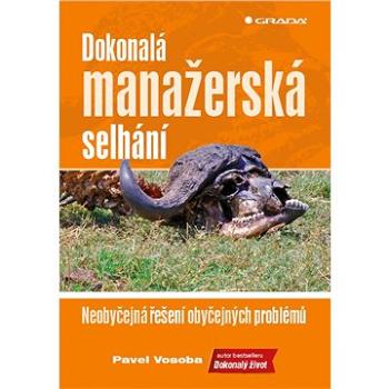 Dokonalá manažerská selhání: Neobyčejná řešení obyčejných problémů (978-80-247-2461-4)