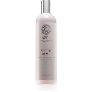 Natura Siberica Copenhagen Arctic Rose regenerační šampon pro suché a poškozené vlasy 400 ml