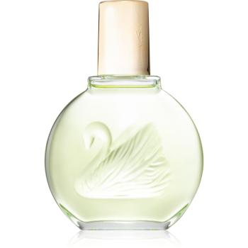 Gloria Vanderbilt Jardin a New York parfémovaná voda pro ženy 100 ml