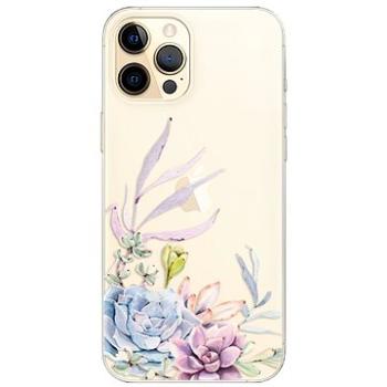 iSaprio Succulent 01 pro iPhone 12 Pro Max (succ01-TPU3-i12pM)