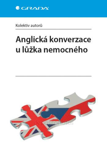 Anglická konverzace u lůžka nemocného - e-kniha