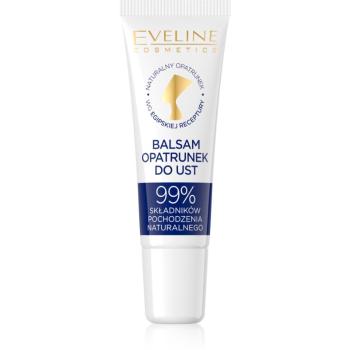 Eveline Cosmetics Egyptian Miracle vyživující a hydratační balzám na rty s antibakteriální přísadou 12 ml