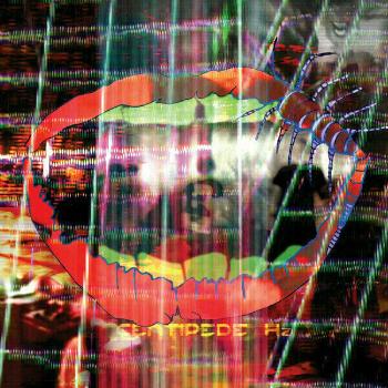 Animal Collective - Centipede HZ (2 LP)