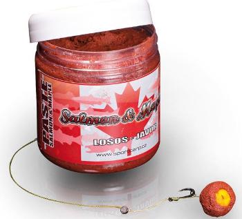 Sportcarp pasta 250 ml-salmon & maple