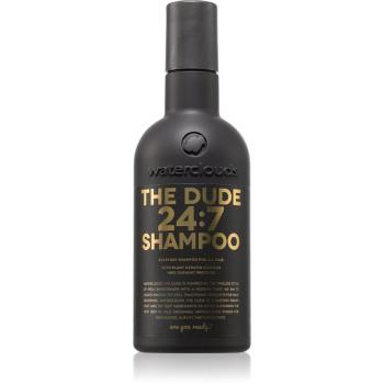 Waterclouds The Dude Shampoo šampon pro každodenní mytí vlasů 250 ml