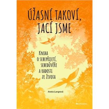 Úžasní takoví, jací jsme (978-80-271-3401-4)