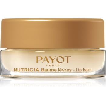 Payot Nutricia Baume Lèvres Cocoon balzám na rty pro výživu a hydrataci 6 g