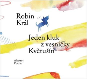 Jeden kluk z vesničky Květušín - Robin Král