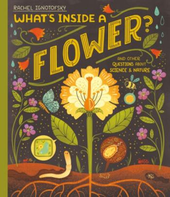 What's Inside a Flower? - Rachel Ignotofsky