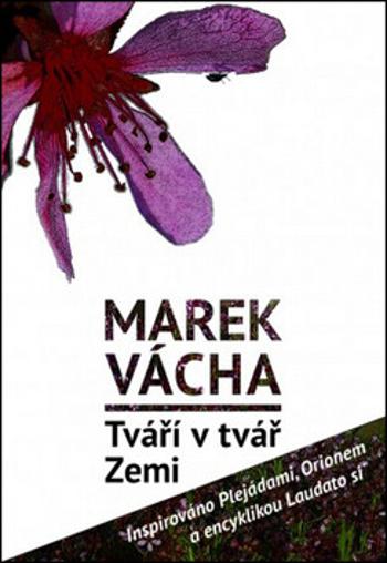 Tváří v tvář Zemi - Marek Orko Vácha