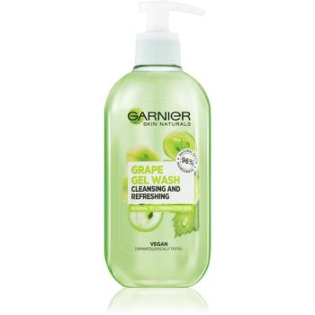 Garnier Botanical čisticí pěnivý gel pro normální až smíšenou pleť 200 ml