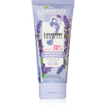 Bielenda Lavender Foot Care intenzivní regenerační krém na nohy 75 ml