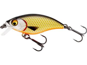 Westin Wobler BuzzBite SR Crankbait 4cm 4g Plovoucí - Official Roach