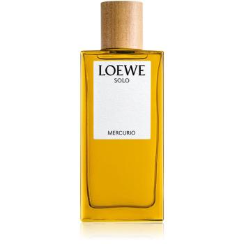 Loewe Solo Mercurio parfémovaná voda pro muže 100 ml