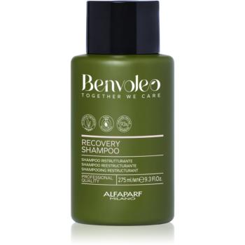 Alfaparf Milano Benvoleo Recovery restrukturalizační šampon pro poškozené vlasy 275 ml