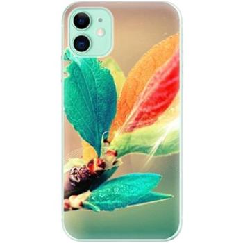 iSaprio Autumn pro iPhone 11 (aut02-TPU2_i11)