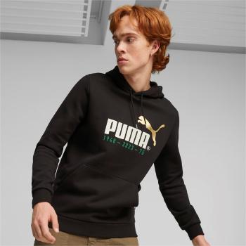 Puma No. 1 Logo Celebration Hoodie FL XL