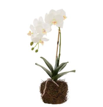 Dekorace umělá květina Orchidej s kořeny a mechem - 23*17*40 cm 12486