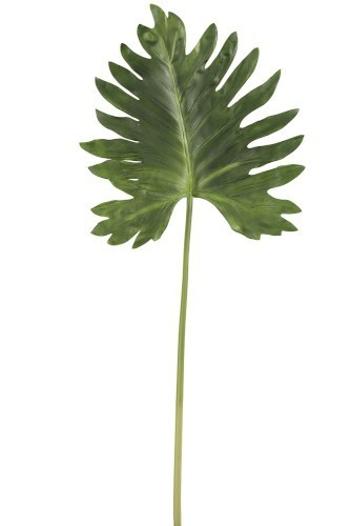 Okrasný list Monstera - 106cm 93059