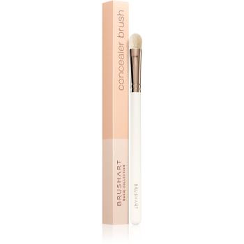 BrushArt Basic Concealer brush pensula pentru corector 1 buc