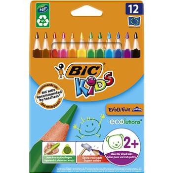 BIC Evolution trojboké 12 barev (3086124001632)