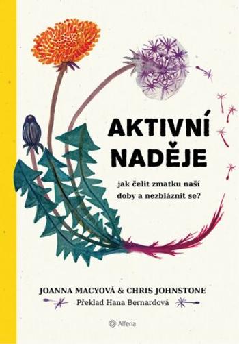 Aktivní naděje - Chris Johnstone, Joanna Macyová - e-kniha