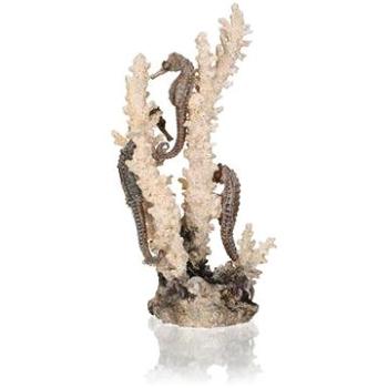 biOrb seahorses on coral přírodní M