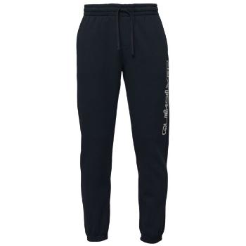 Quiksilver GRAPHIC JOGGER Pánské tepláky, tmavě modrá, velikost