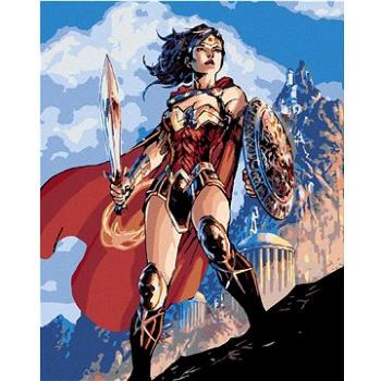 Zuty - Wonder woman meč a štít, 40×50 cm (HRAwlmal443nad)